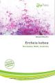 Ercheia kebea