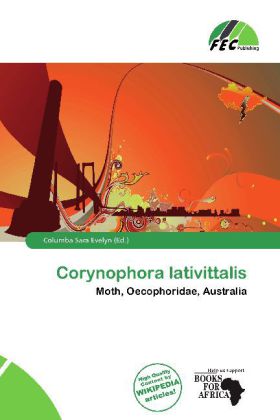 Corynophora lativittalis
