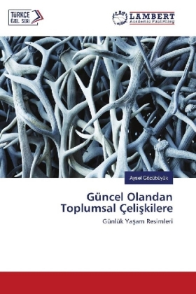 Güncel Olandan Toplumsal Çeliskilere