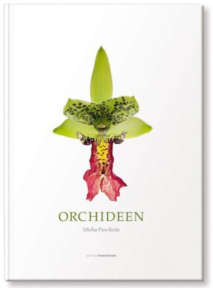 Orchideen