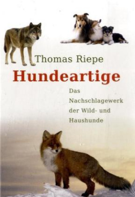 Hundeartige