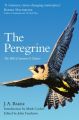 The Peregrine. Der Wanderfalke, englische Ausgabe