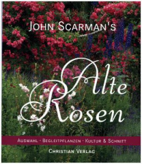 John Scarman's Alte Rosen