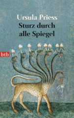 Sturz durch alle Spiegel