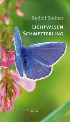 Lichtwesen Schmetterling