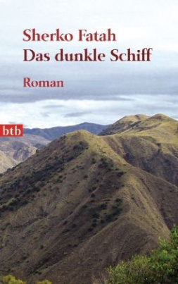 Das dunkle Schiff