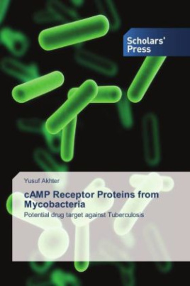 cAMP Receptor Proteins from Mycobacteria