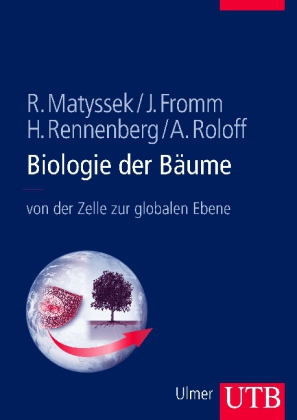 Biologie der Bäume