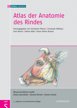 Atlas der Anatomie des Rindes