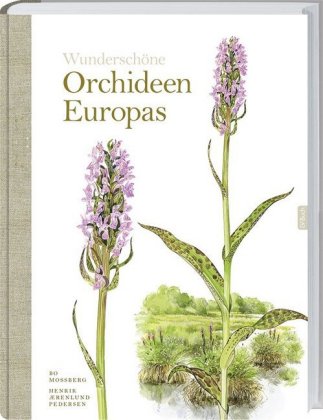 Orchideen Europas