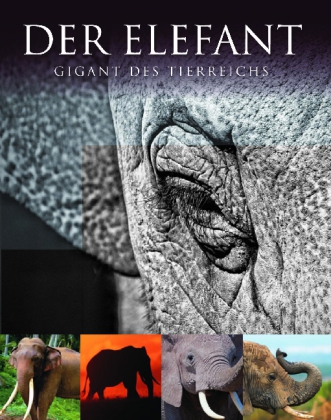 Der Elefant