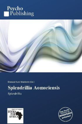 Splendrillia Aomoriensis