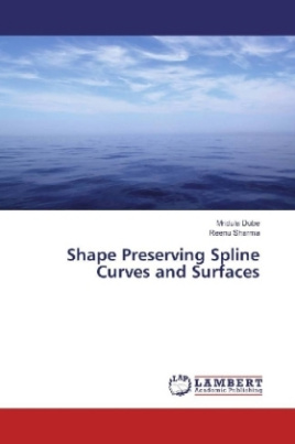 Shape Preserving Spline Curves and Surfaces