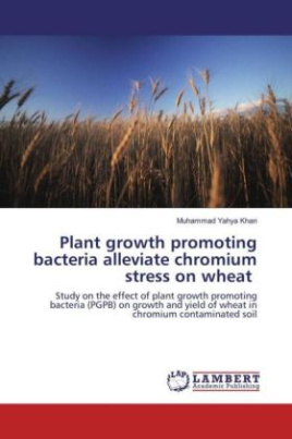 Plant growth promoting bacteria alleviate chromium stress on wheat