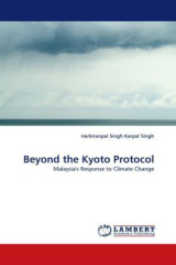 Beyond the Kyoto Protocol