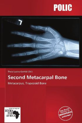 Second Metacarpal Bone