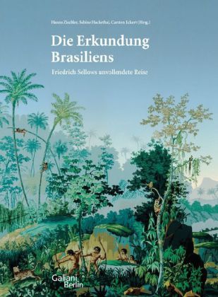 Die Erkundung Brasiliens