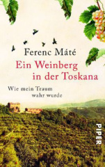 Ein Weinberg in der Toskana