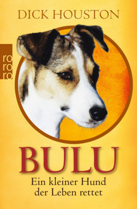 Bulu