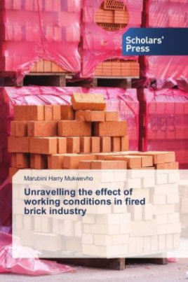 Unravelling the effect of working conditions in fired brick industry