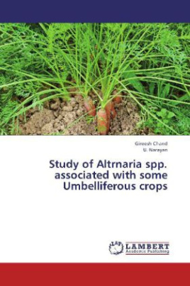 Study of Altrnaria spp. associated with some Umbelliferous crops