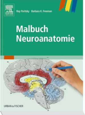 Malbuch Neuroanatomie
