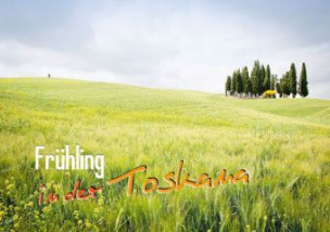 Frühling in der Toskana (Posterbuch DIN A3 quer)