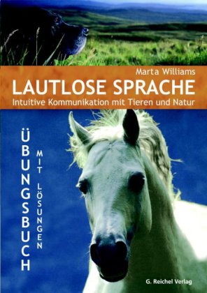 Lautlose Sprache