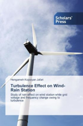 Turbulence Effect on Wind-Rain Station