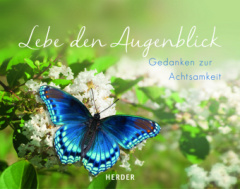 Lebe den Augenblick