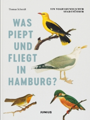 Was piept und fliegt in Hamburg?