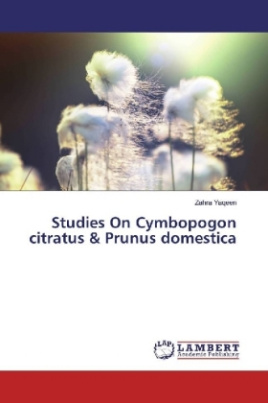 Studies On Cymbopogon citratus & Prunus domestica