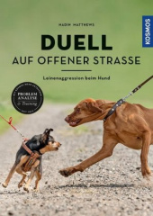 Duell auf offener Straße