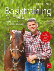 Basistraining für Pferde