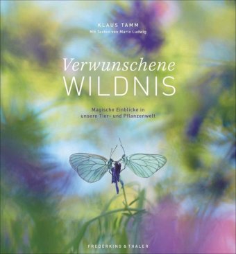 Verwunschene Wildnis