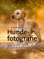 Hundefotografie