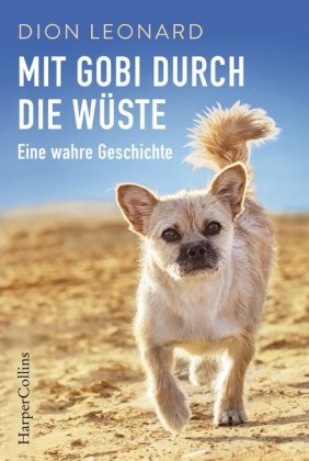 Mit Gobi durch die Wüste