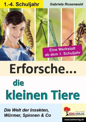 Erforsche ... die kleinen Tiere