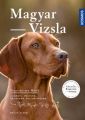 Magyar Vizsla