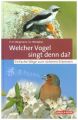 Welcher Vogel singt denn da?