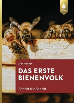 Das erste Bienenvolk - Schritt für Schritt