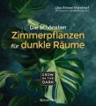 Grow in the Dark - Die schönsten Zimmerpflanzen für dunkle Räume und Plätze