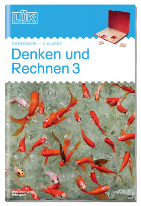 Denken und Rechnen 3