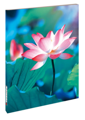 Blankbook Pure Lotus