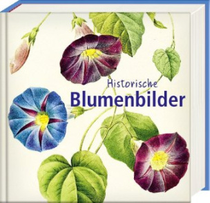 Historische Blumenbilder