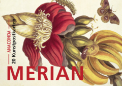 Postkarten-Set Maria Sibylla Merian