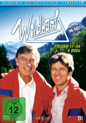 Wildbach 2