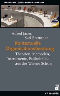 Kontextuelle Organisationsberatung