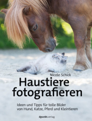 Haustiere fotografieren