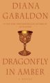 Dragonfly in Amber